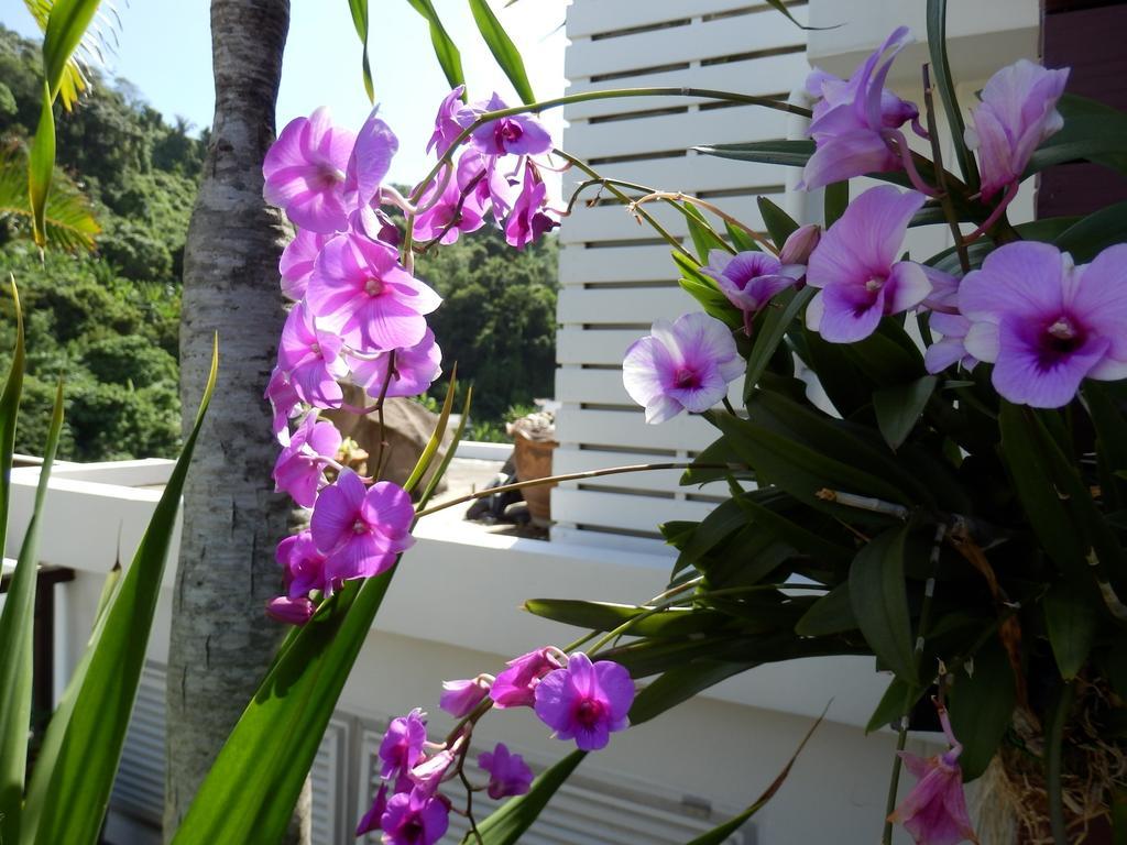 Kata Beach Studio Phuket Kültér fotó